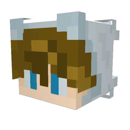 F1nnEnergy Minecraft avatar head, 3D render