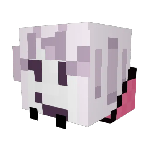 F1nnley_DCM Minecraft avatar head, 3D render