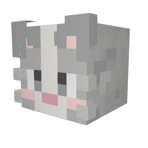 F1r3Hawk Minecraft avatar head, 3D render