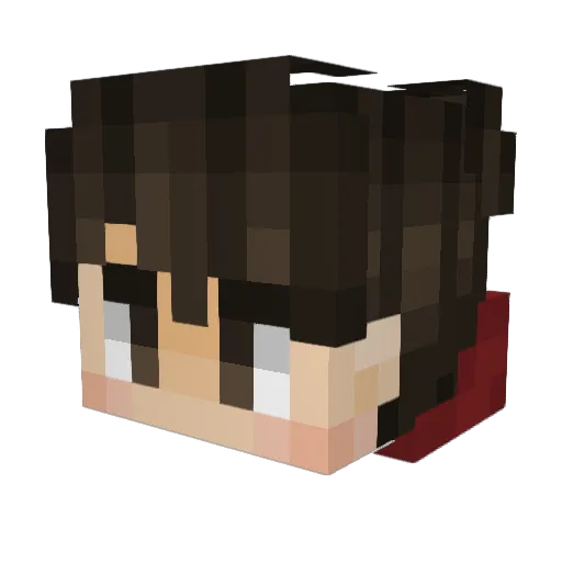 F1reSt0rm_ Minecraft avatar head, 3D render