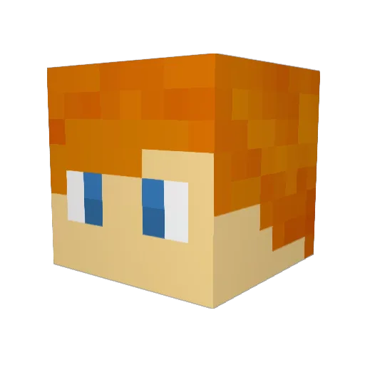 F1sh98 Minecraft avatar head, 3D render