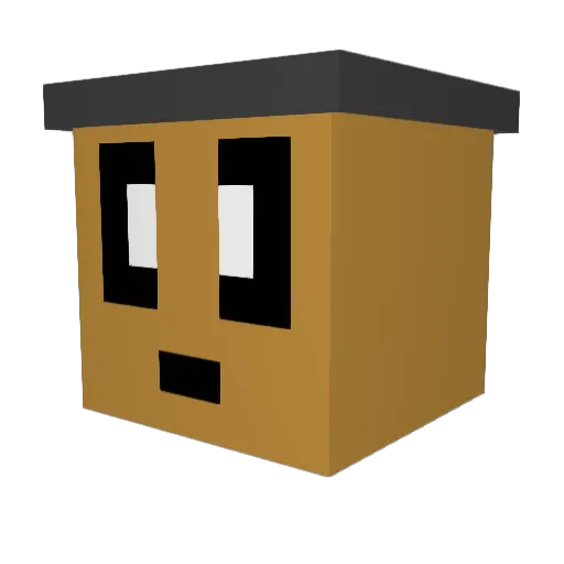 F1y1n Minecraft avatar head, 3D render