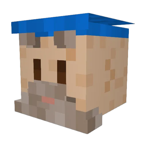 F1z1ks Minecraft avatar head, 3D render