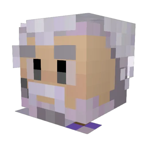 F1zzics Minecraft avatar head, 3D render