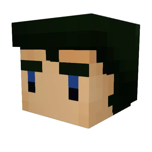 F22ace Minecraft avatar head, 3D render