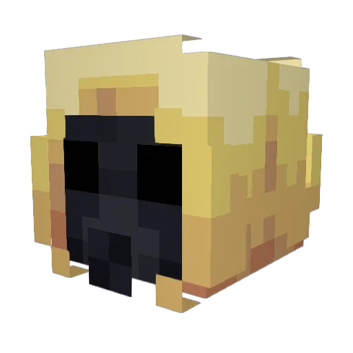 F2L1P3 Minecraft avatar head, 3D render
