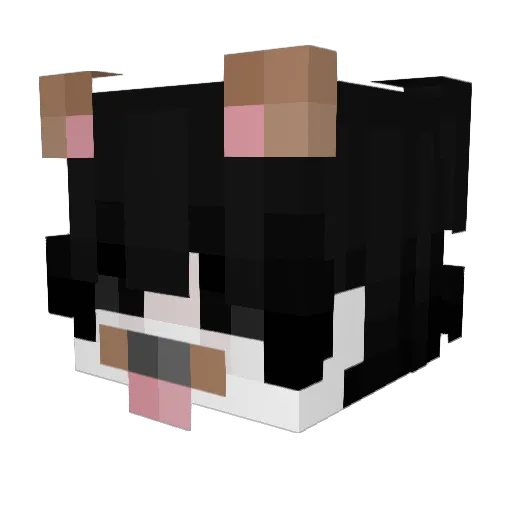 F30James Minecraft avatar head, 3D render