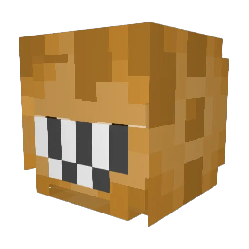 F35_lightning2 Minecraft avatar head, 3D render