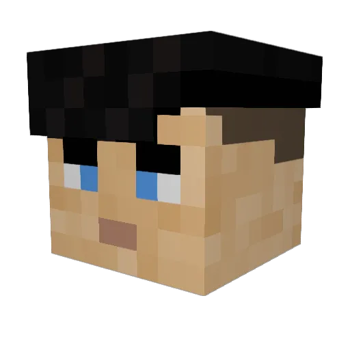 F3L1P3_ Minecraft avatar head, 3D render