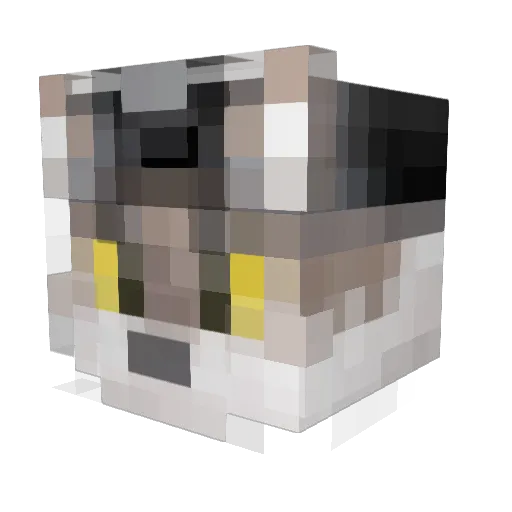 F3NRU_ Minecraft avatar head, 3D render
