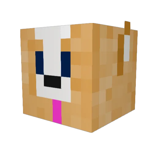 F3NX_Corgi Minecraft avatar head, 3D render