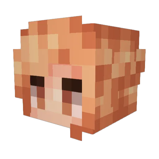 F3lix244 Minecraft avatar head, 3D render
