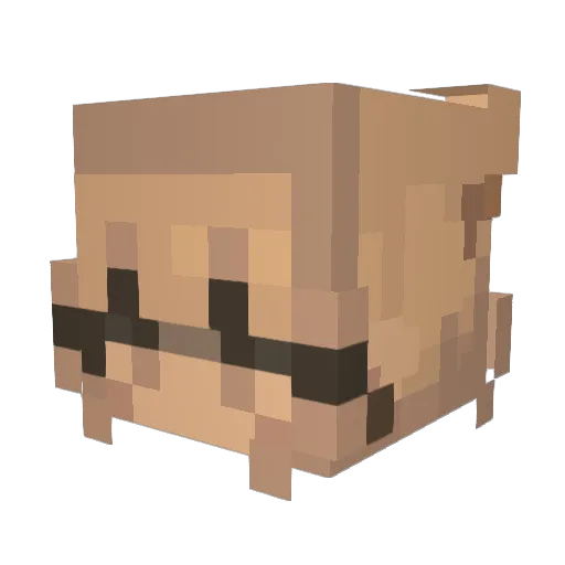 F3ner Minecraft avatar head, 3D render