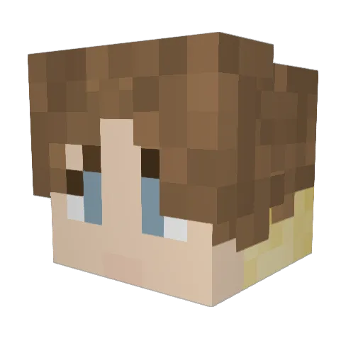 F4ACELESS Minecraft avatar head, 3D render