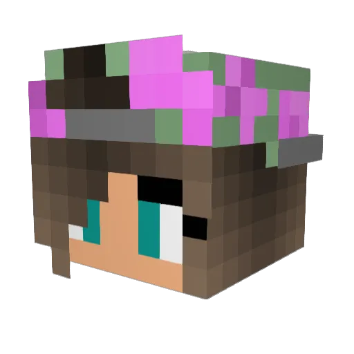 F4E_BramX Minecraft avatar head, 3D render