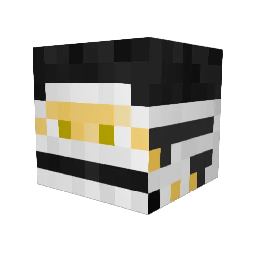 F4Fury Minecraft avatar head, 3D render