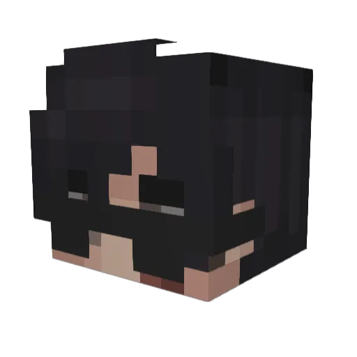 F4KU Minecraft avatar head, 3D render
