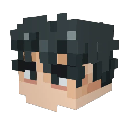F4Nzz Minecraft avatar head, 3D render