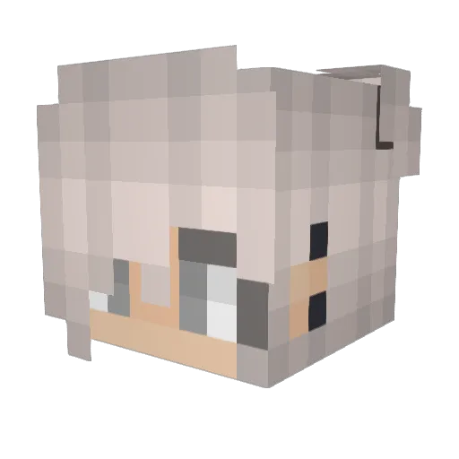 F4him_ Minecraft avatar head, 3D render