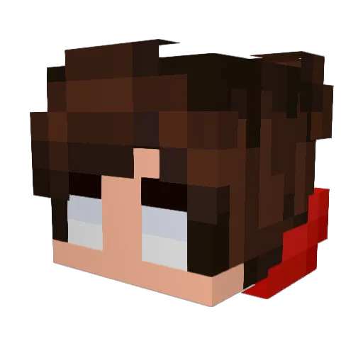 F4ll0 Minecraft avatar head, 3D render