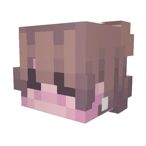F4lseReal1ty Minecraft avatar head, 3D render