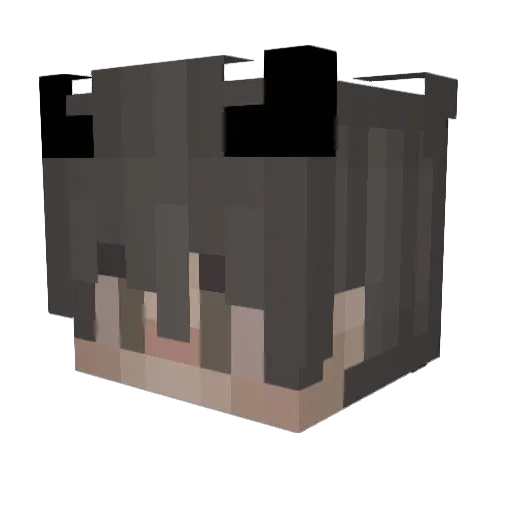 F4mek Minecraft avatar head, 3D render