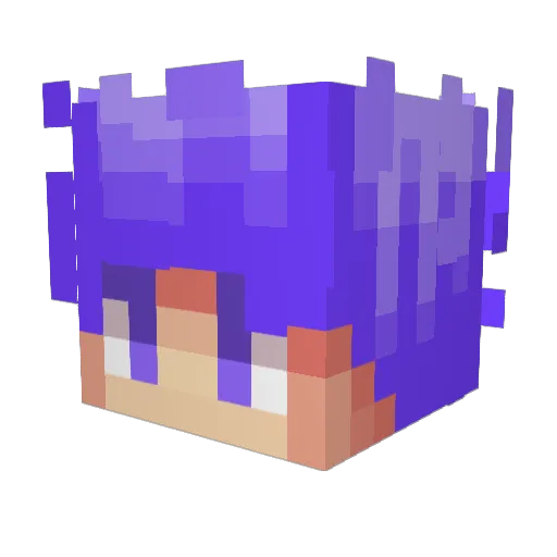 F4stSkyLine Minecraft avatar head, 3D render