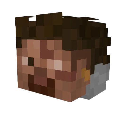 F4steR___ Minecraft avatar head, 3D render