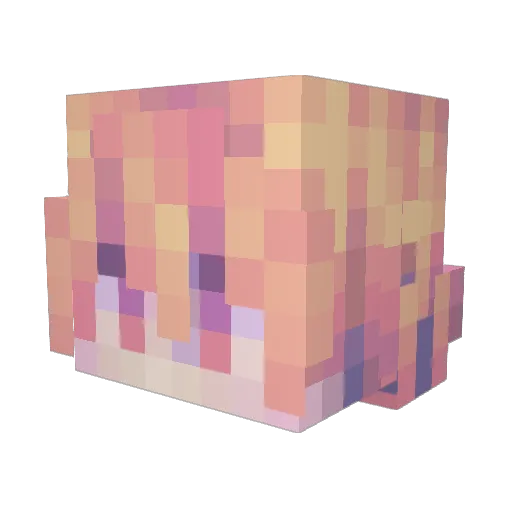 F4xe Minecraft avatar head, 3D render