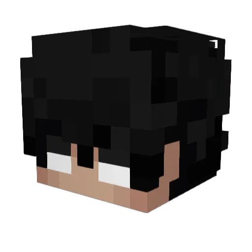 F6Z Minecraft avatar head, 3D render