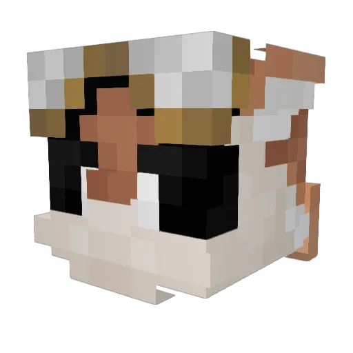 F8wt Minecraft avatar head, 3D render