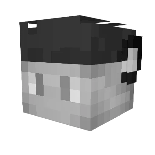F9oL Minecraft avatar head, 3D render