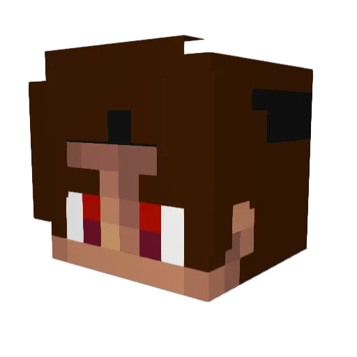 FA17H Minecraft avatar head, 3D render