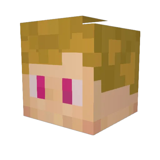 FA55EL Minecraft avatar head, 3D render