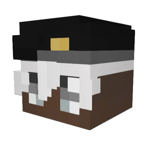 FABI1441 Minecraft avatar head, 3D render
