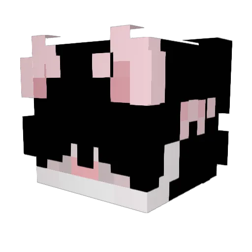 FABINIO44 Minecraft avatar head, 3D render
