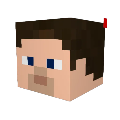 FABMAN2 Minecraft avatar head, 3D render