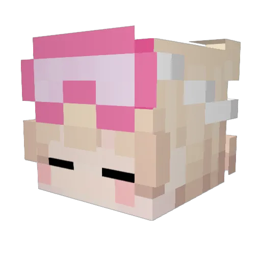 FAE____ Minecraft avatar head, 3D render