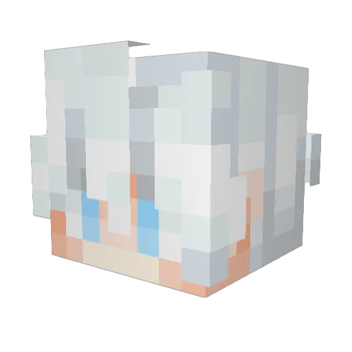 FAHDZORO Minecraft avatar head, 3D render