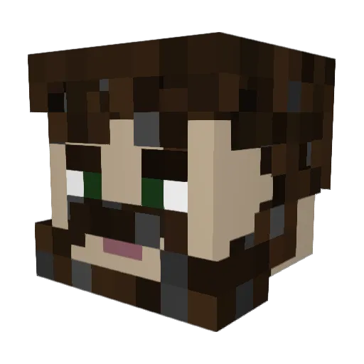 FAHNDK Minecraft avatar head, 3D render