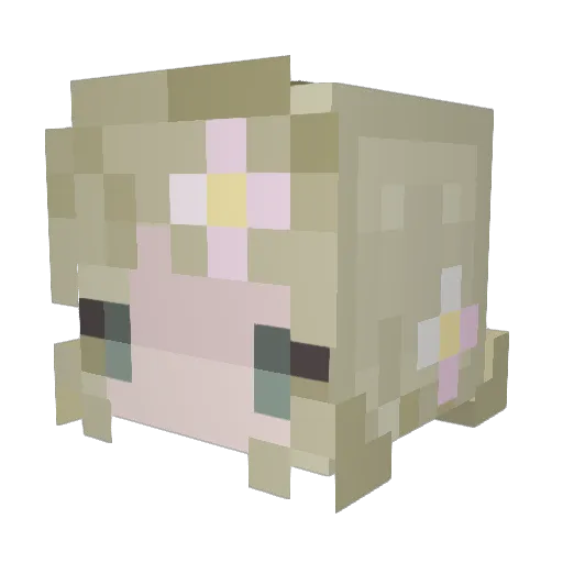 FAIRYLA Minecraft avatar head, 3D render