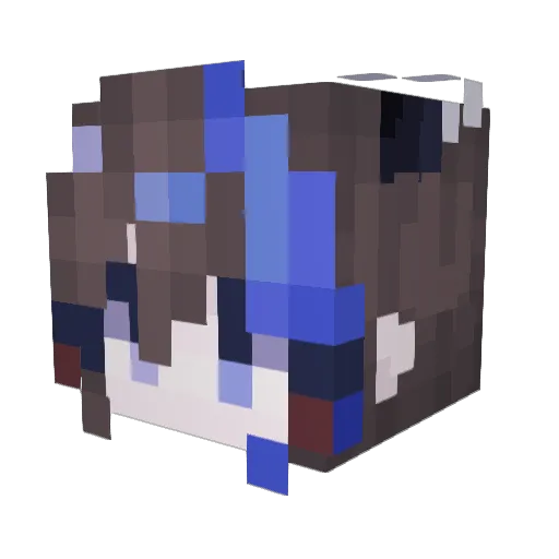 FAKER3214 Minecraft avatar head, 3D render
