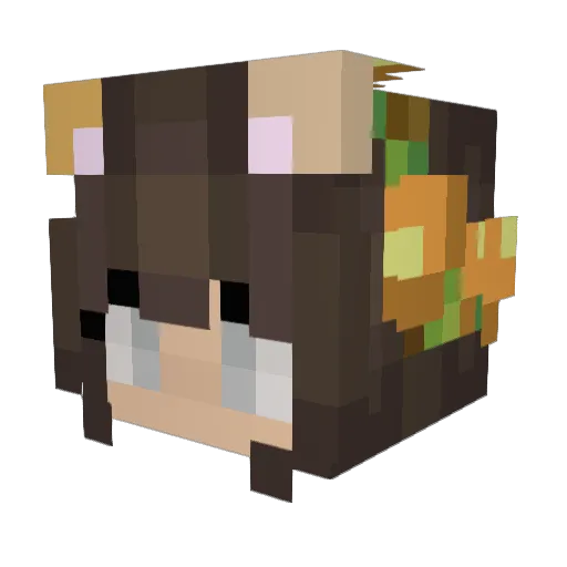 FAKER_37 Minecraft avatar head, 3D render