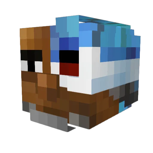 FALACIO Minecraft avatar head, 3D render