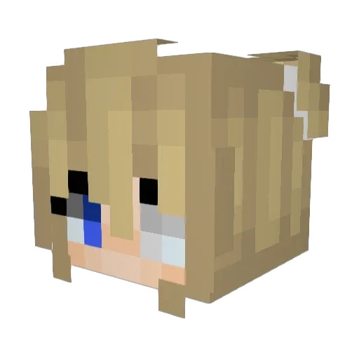 FAM0USisntThere Minecraft avatar head, 3D render