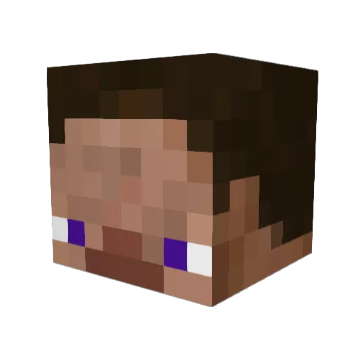 FAMEexe Minecraft avatar head, 3D render