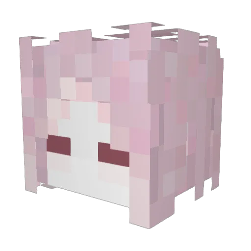 FANGpipi Minecraft avatar head, 3D render
