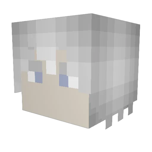 FANSean Minecraft avatar head, 3D render
