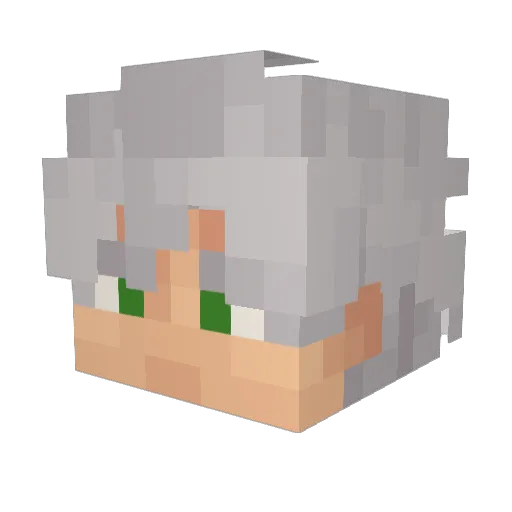 FANTIK837 Minecraft avatar head, 3D render