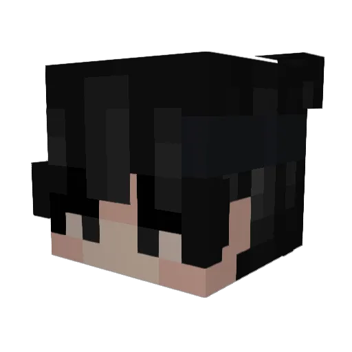FARLY_ Minecraft avatar head, 3D render